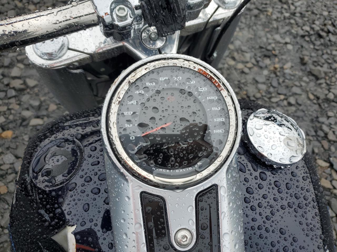 2019 Harley-Davidson Flfbs VIN: 1HD1YGK23KB068125 Lot: 64125915