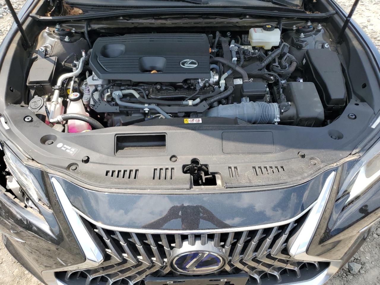 2022 Lexus Es 300H Base VIN: 58AEA1C13NU017859 Lot: 63310405