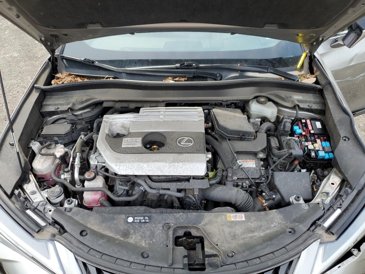 2020 Lexus Ux 250H VIN: JTHP9JBH0L2021788 Lot: 64630595