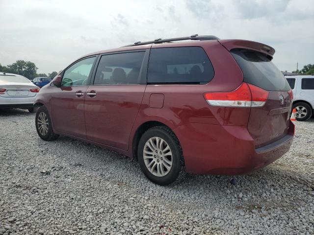  TOYOTA All Models 2013 Burgundy