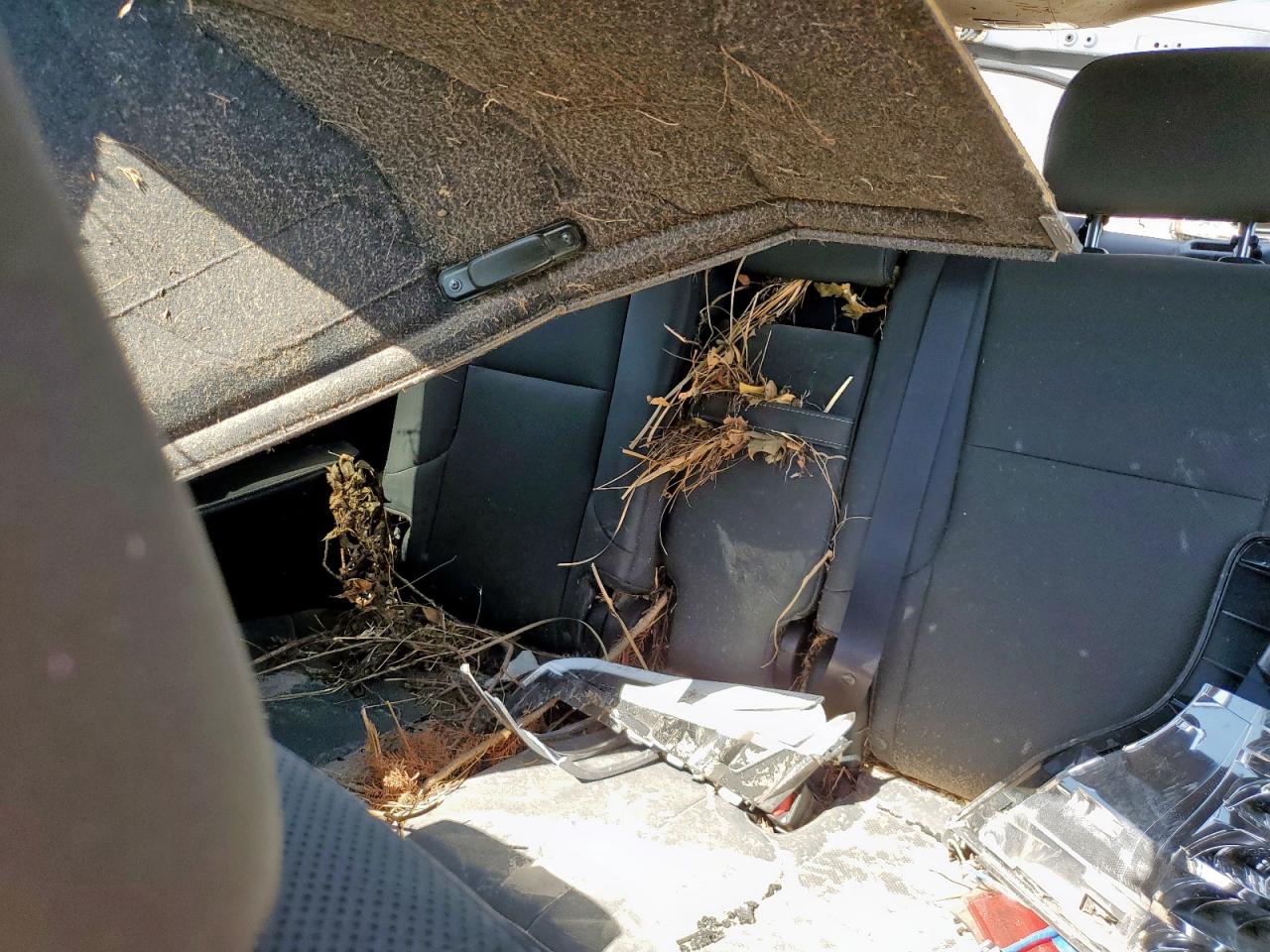 2020 Lexus Gx 460 Premium VIN: JTJAM7BX5L5264217 Lot: 67106035