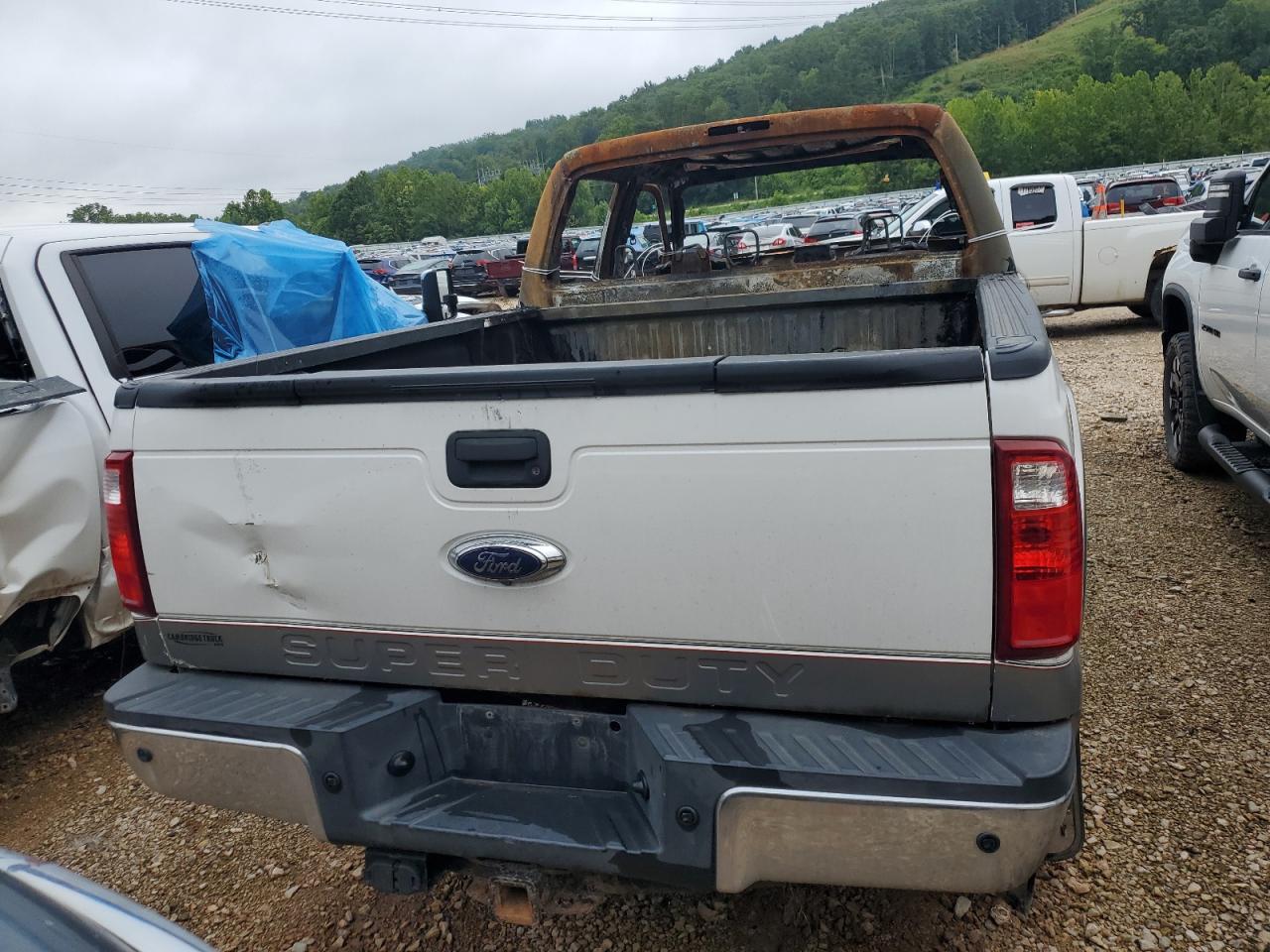 2014 Ford F350 Super Duty VIN: 1FT8W3BT4EEA11829 Lot: 66435115