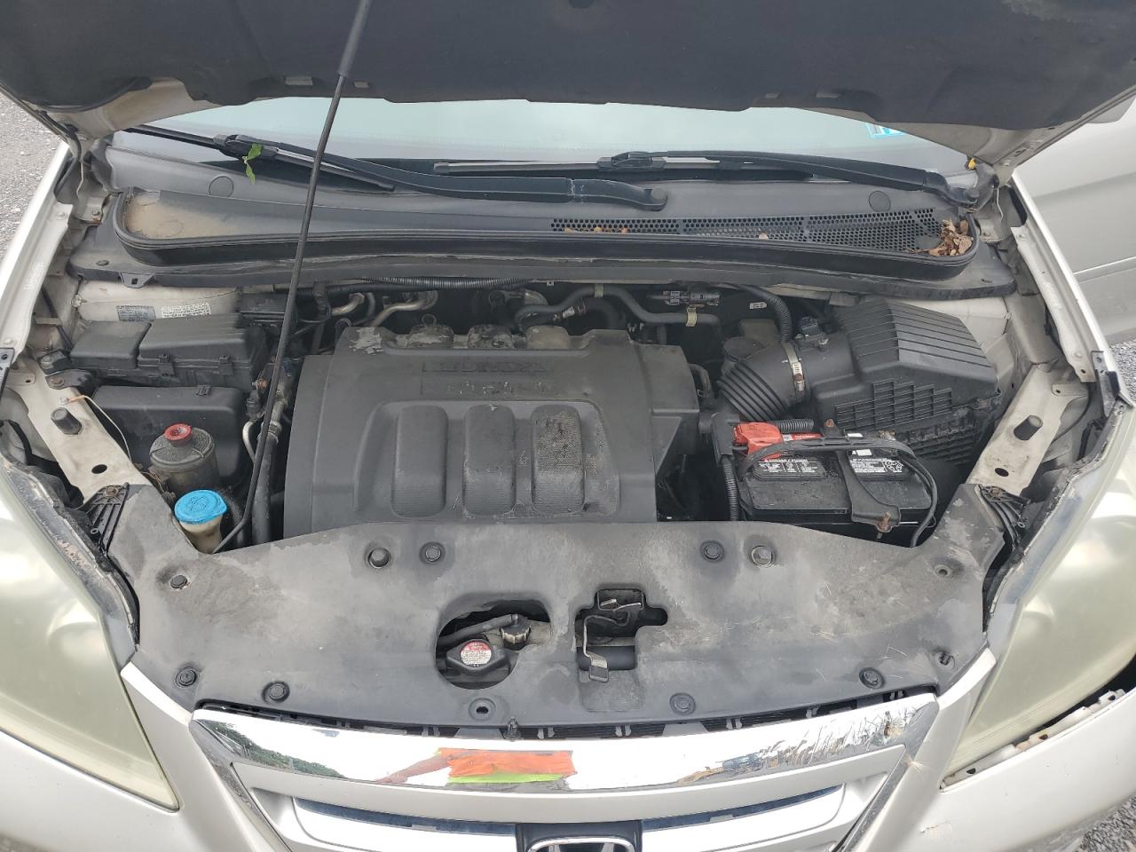 2007 Honda Odyssey Exl VIN: 5FNRL38767B449261 Lot: 64880815