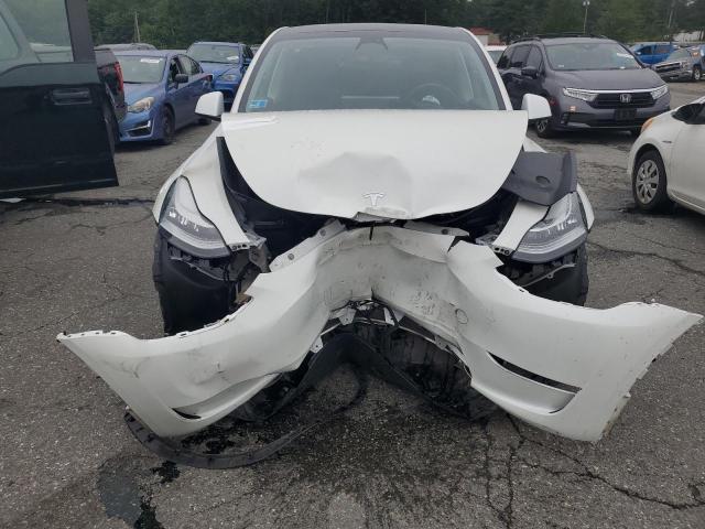  TESLA MODEL Y 2023 White