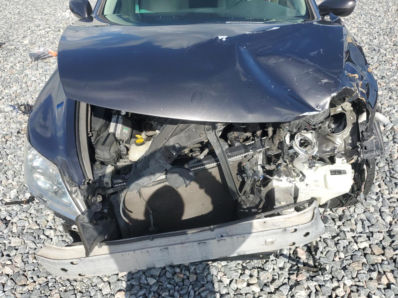 2009 Lexus Ls 460 VIN: JTHBL46F595087976 Lot: 63499745