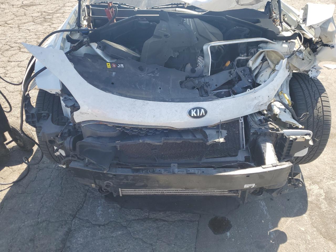 2021 Kia Stinger VIN: KNAE15LA3M6091608 Lot: 63607295