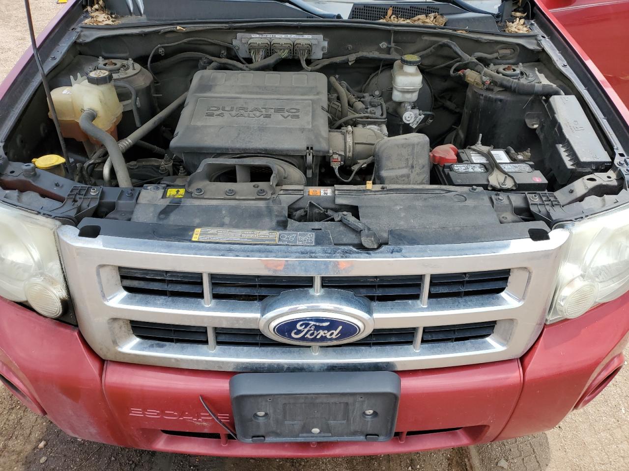 2011 Ford Escape Xlt VIN: 1FMCU0DGXBKA14239 Lot: 65750725