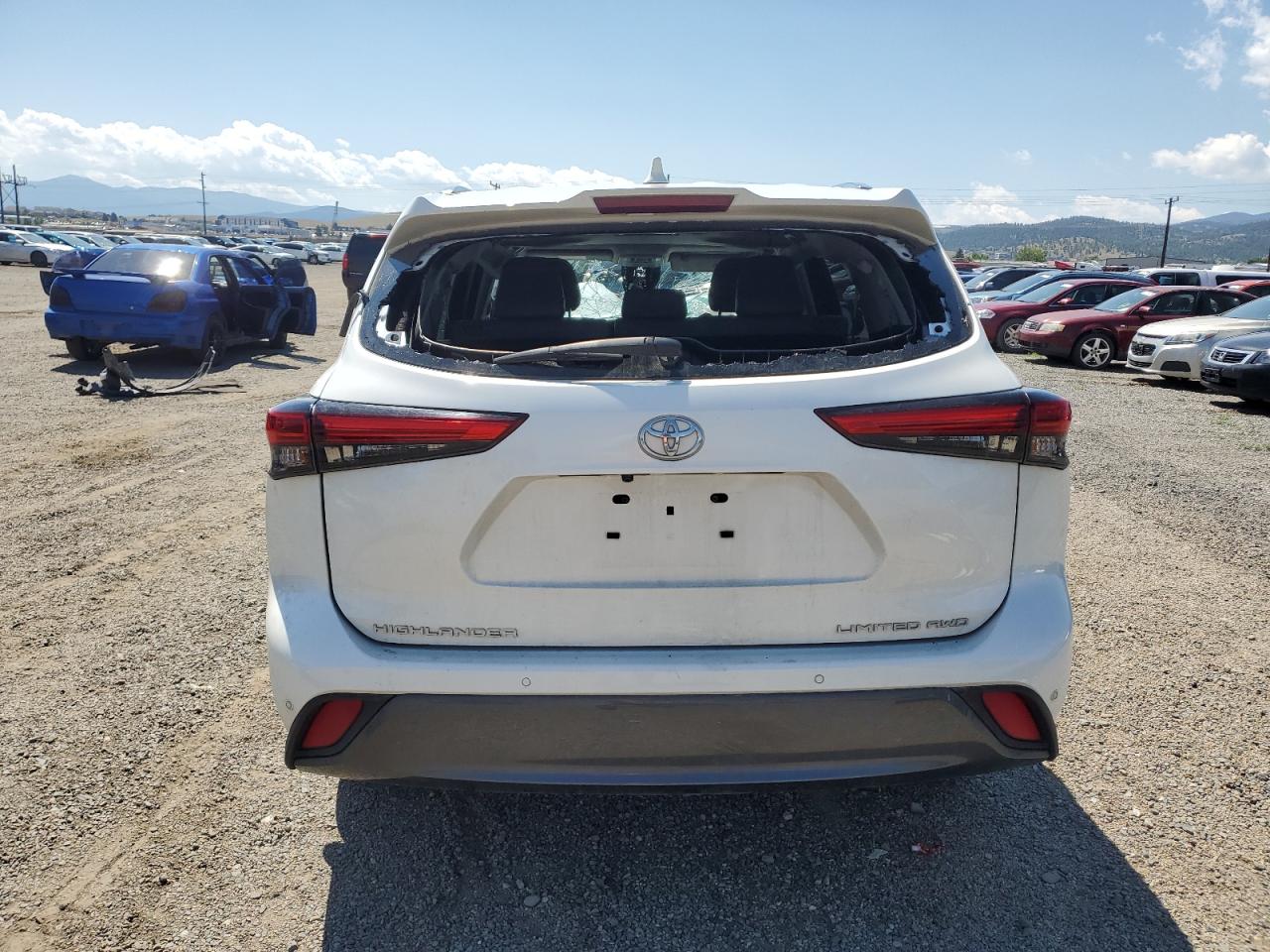2020 Toyota Highlander Limited VIN: 5TDDZRBH1LS046209 Lot: 64237825