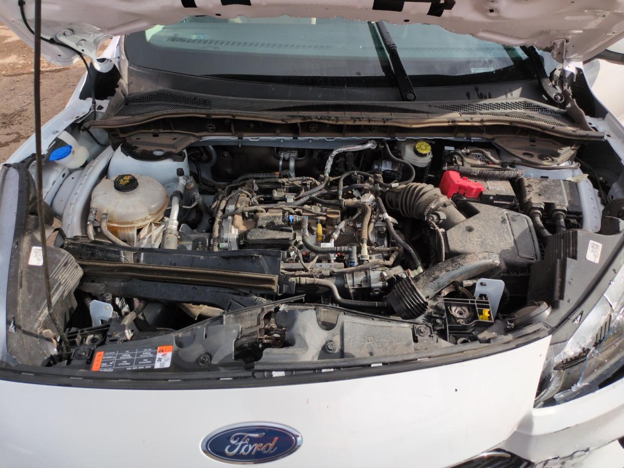 2021 Ford Escape Sel VIN: 1FMCU0H66MUA07202 Lot: 64526445
