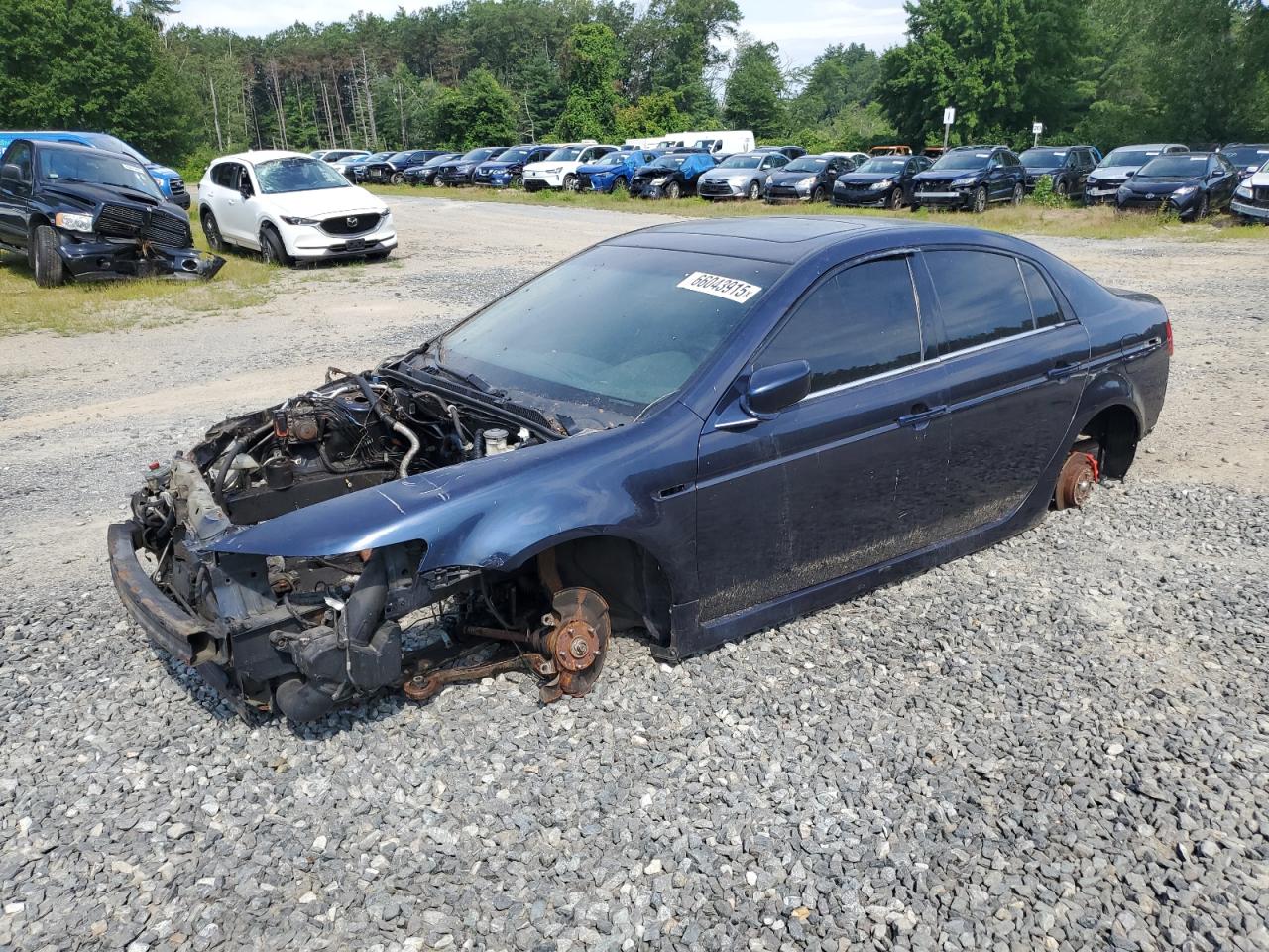 19uua65564a071453 19UUA65564A071453 2004 Acura Tl