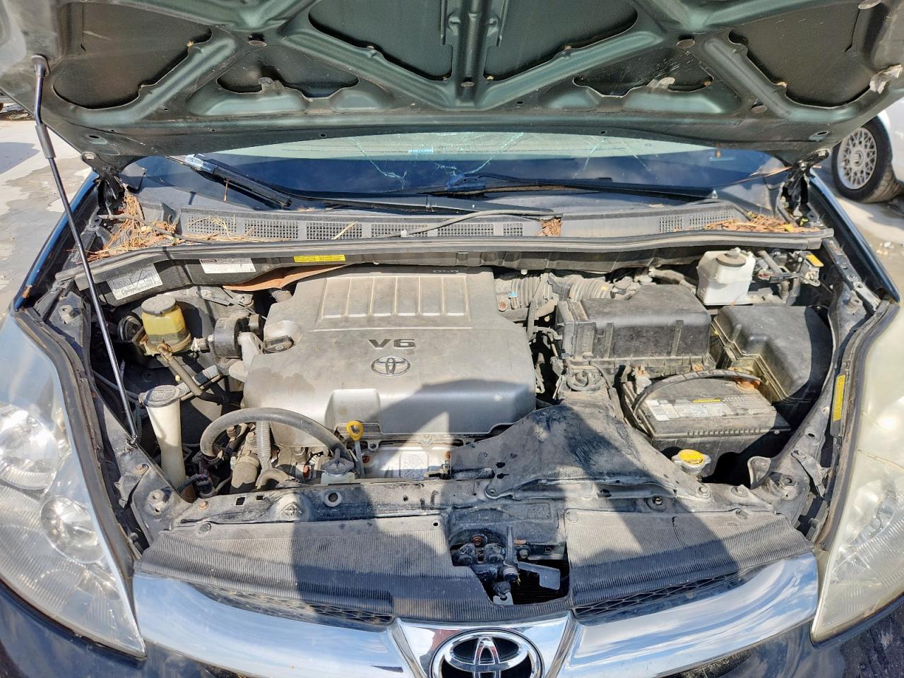 2009 Toyota Sienna Xle VIN: 5TDZK22C29S231769 Lot: 64512415