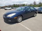 2004 LEXUS ES 330   à vendre chez Copart NY - LONG ISLAND