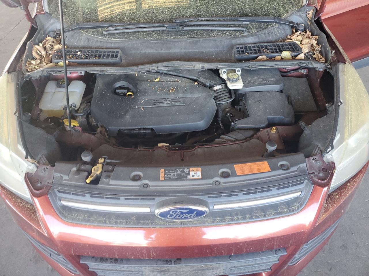 2014 Ford Escape Se VIN: 1FMCU0GXXEUE41294 Lot: 65017935