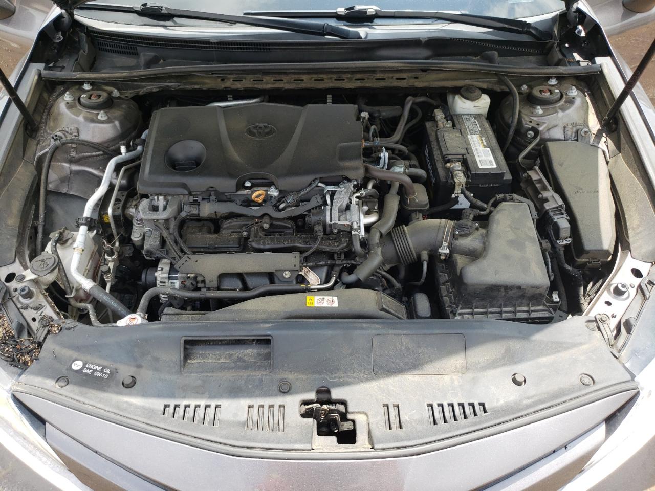 2020 Toyota Camry Le VIN: 4T1C11AK4LU343306 Lot: 64964455