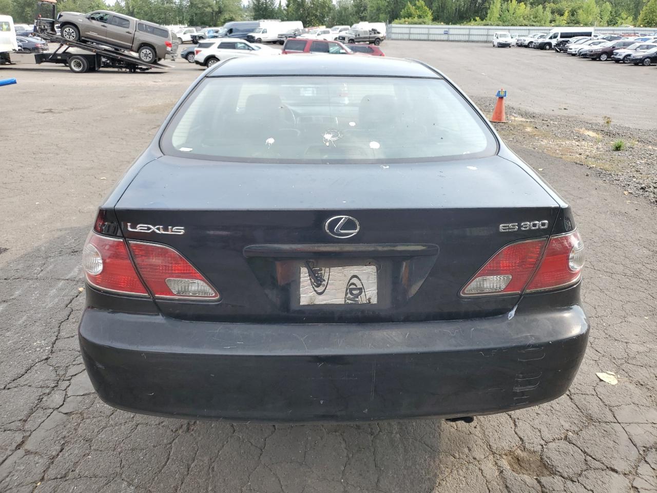 2003 Lexus Es 300 VIN: JTHBF30G230100948 Lot: 72099955