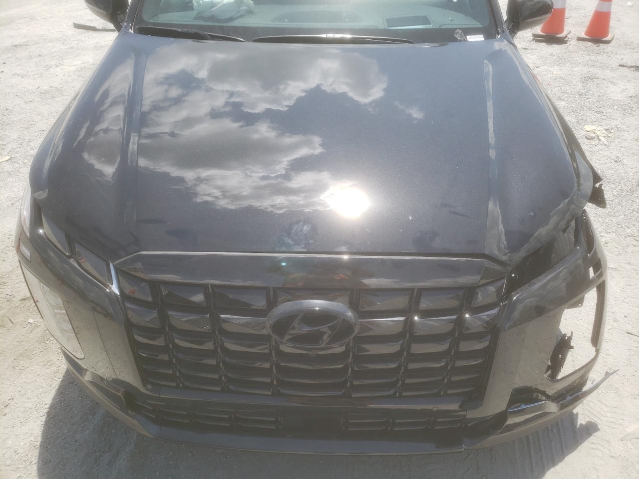 2025 Hyundai Palisade Calligraphy VIN: KM8R7DGE6SU921822 Lot: 66385345