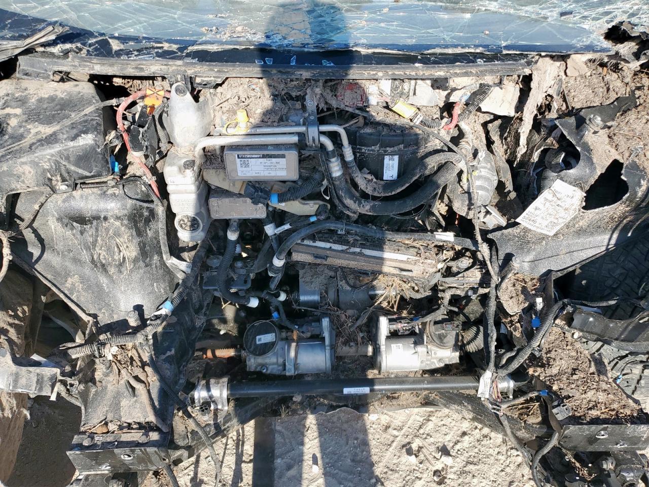 2025 Tesla Cybertruck VIN: 7G2CEHED4SA067482 Lot: 65383115