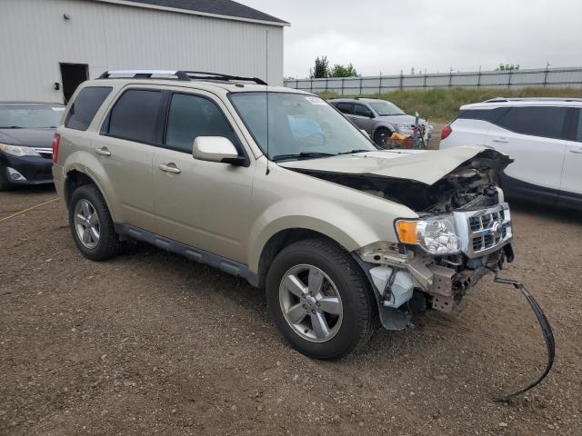 Parquets FORD ESCAPE 2012 tan