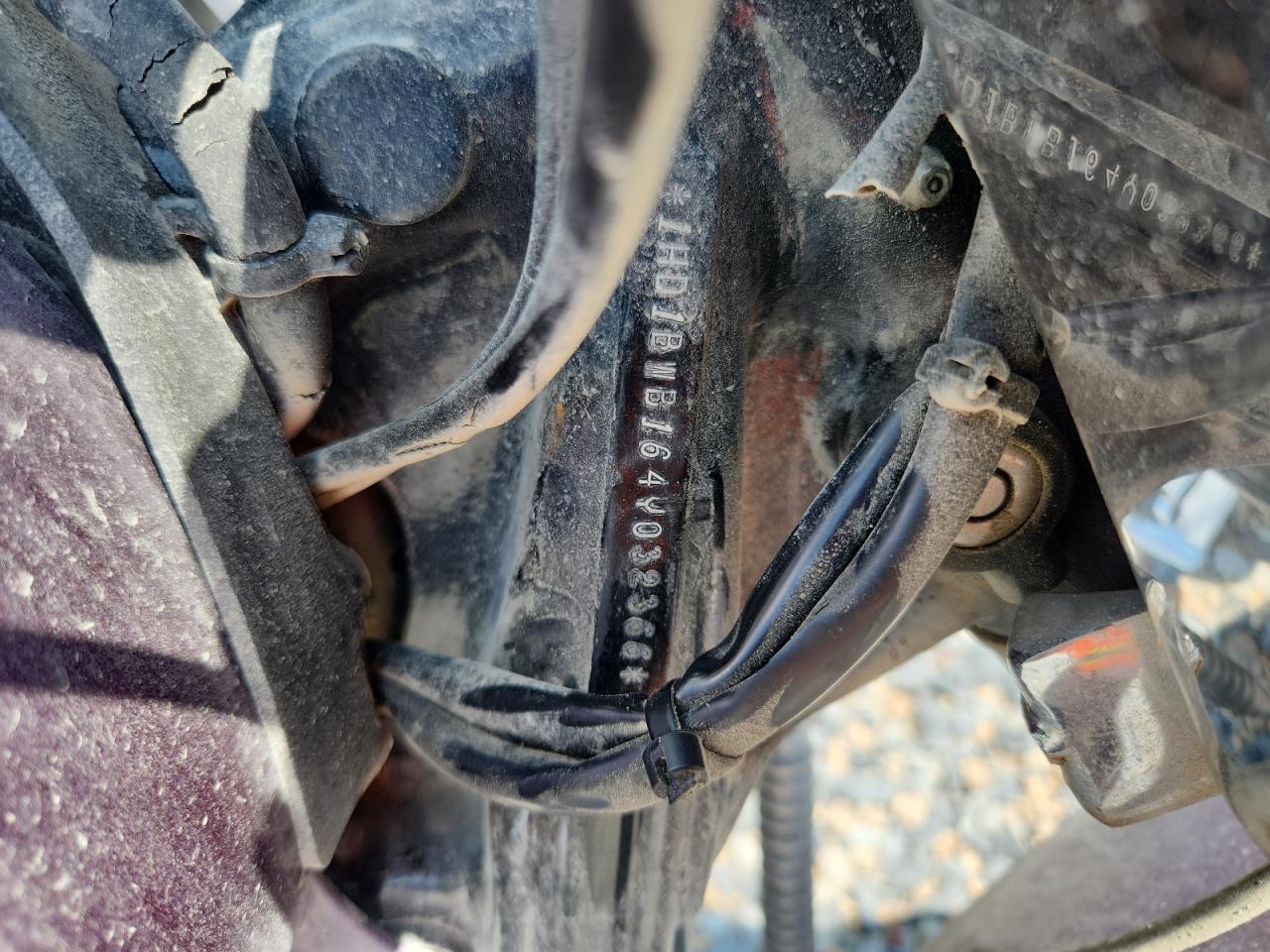 2004 Harley-Davidson Flstci VIN: 1HD1BWB164Y032366 Lot: 65504535