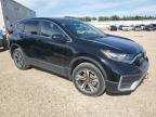 2020 HONDA CR-V LX   à vendre chez Copart AB - EDMONTON