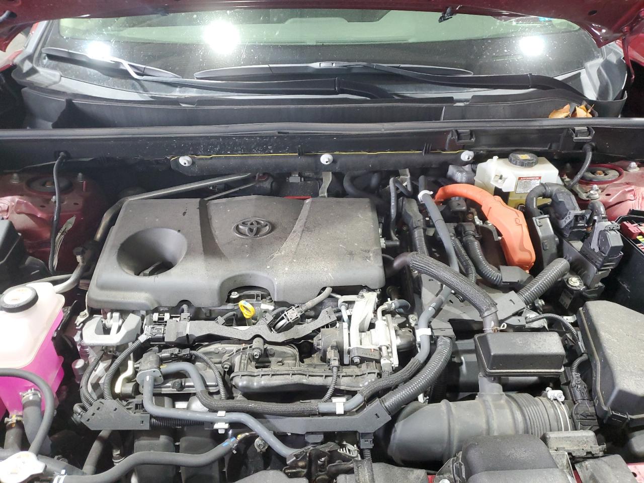 2019 Toyota Rav4 Xle VIN: JTMRWRFV3KJ007602 Lot: 65053495