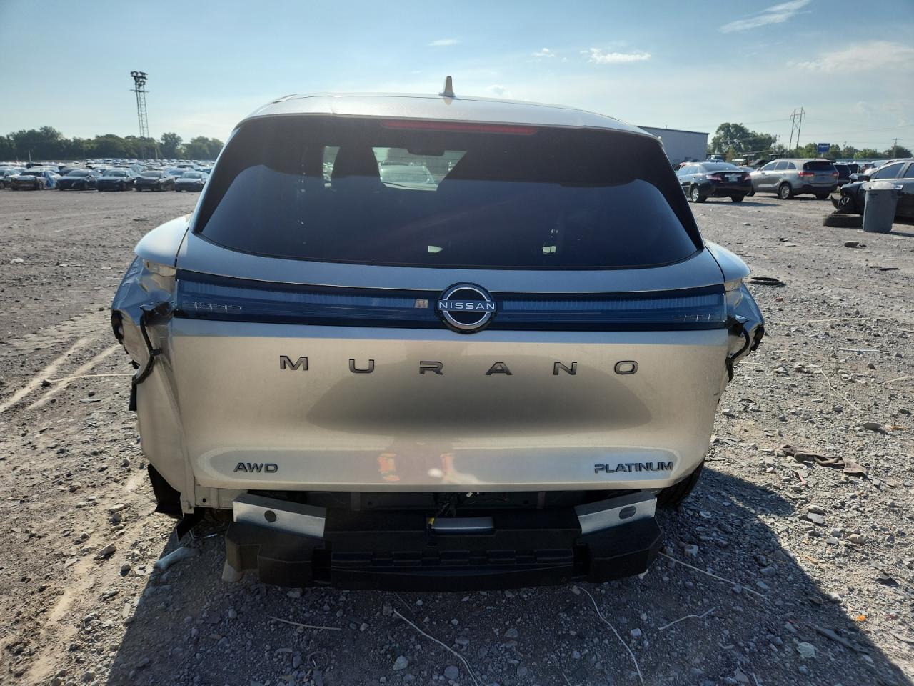 2025 Nissan Murano Platinum VIN: 5N1AZ3DT9SC101857 Lot: 64593225