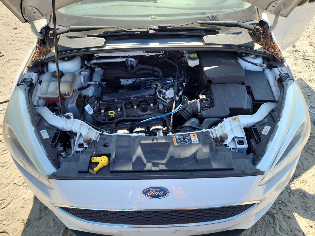 2017 Ford Focus S VIN: 1FADP3E26HL256894 Lot: 65388995