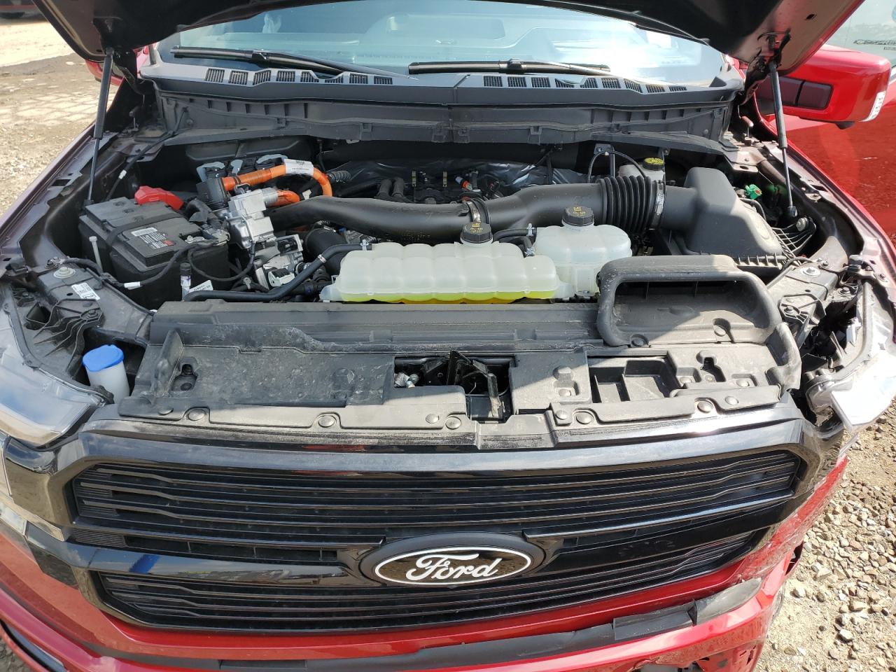 2024 Ford F150 Platinum VIN: 1FTFW7LD3RFB23527 Lot: 66397475