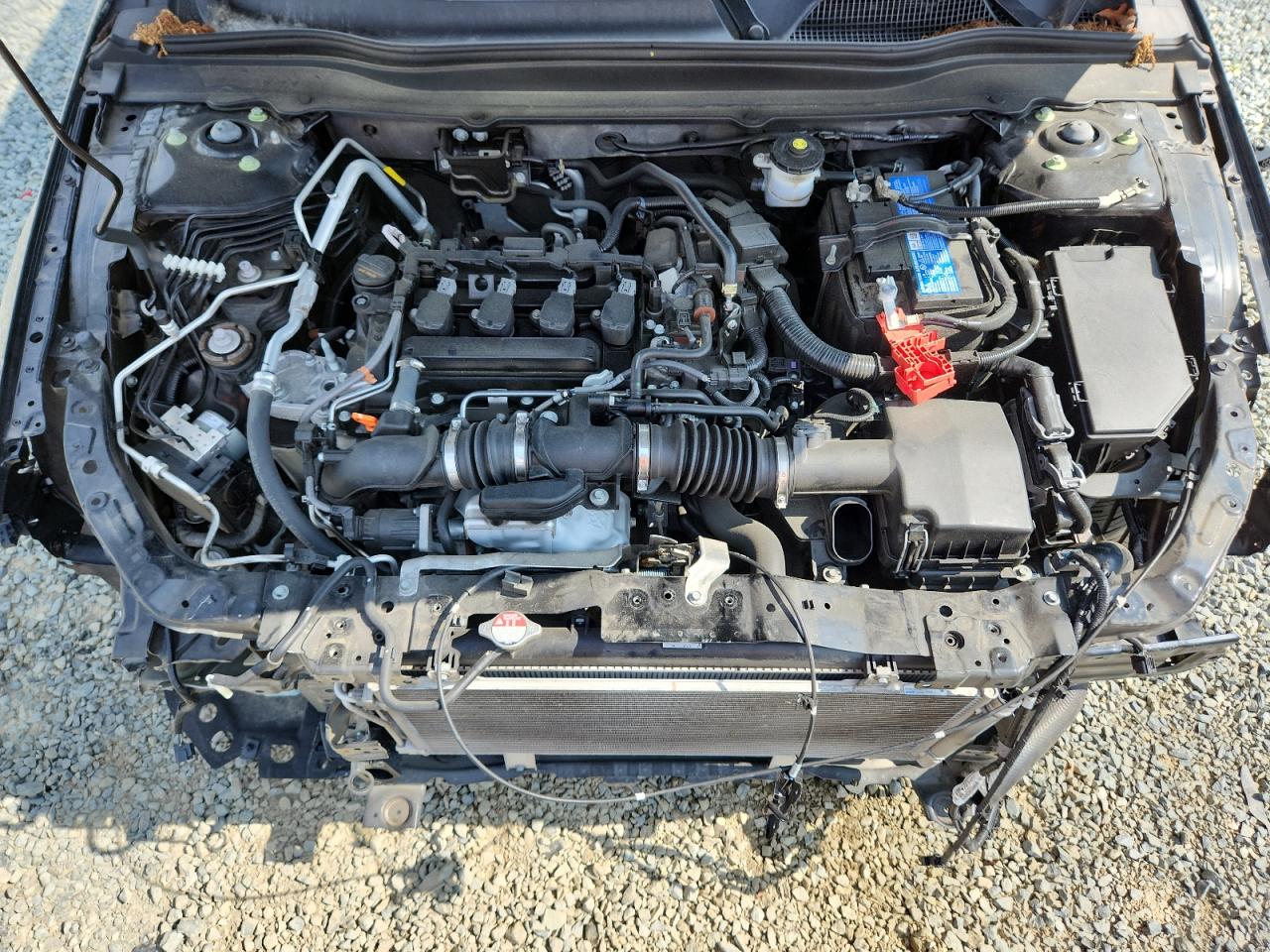 2021 Honda Accord Sport VIN: 1HGCV1F38MA066397 Lot: 62982305