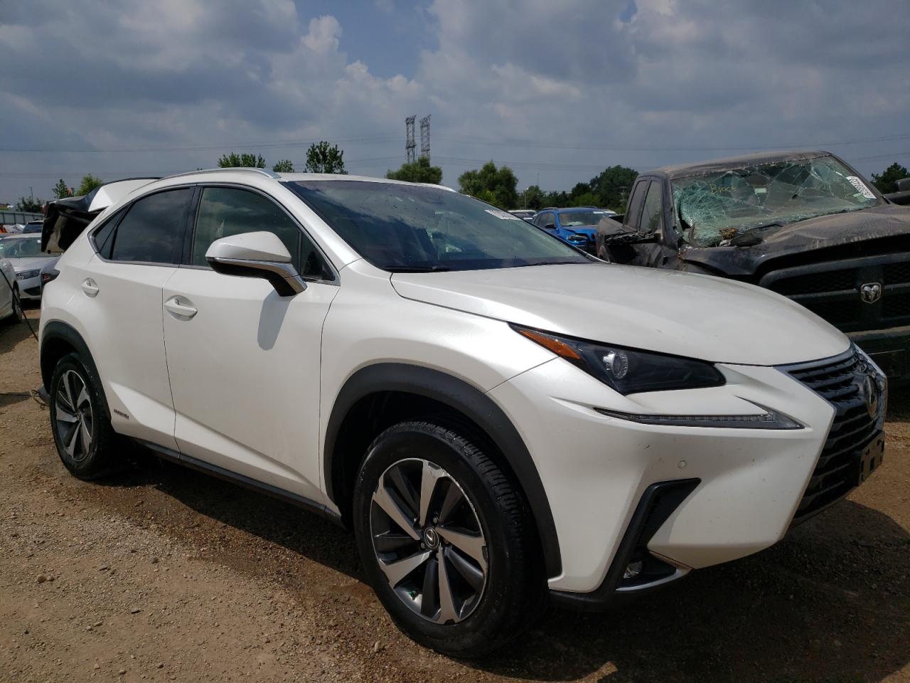 JTJBJRBZ0K2119208 2019 Lexus Nx 300H