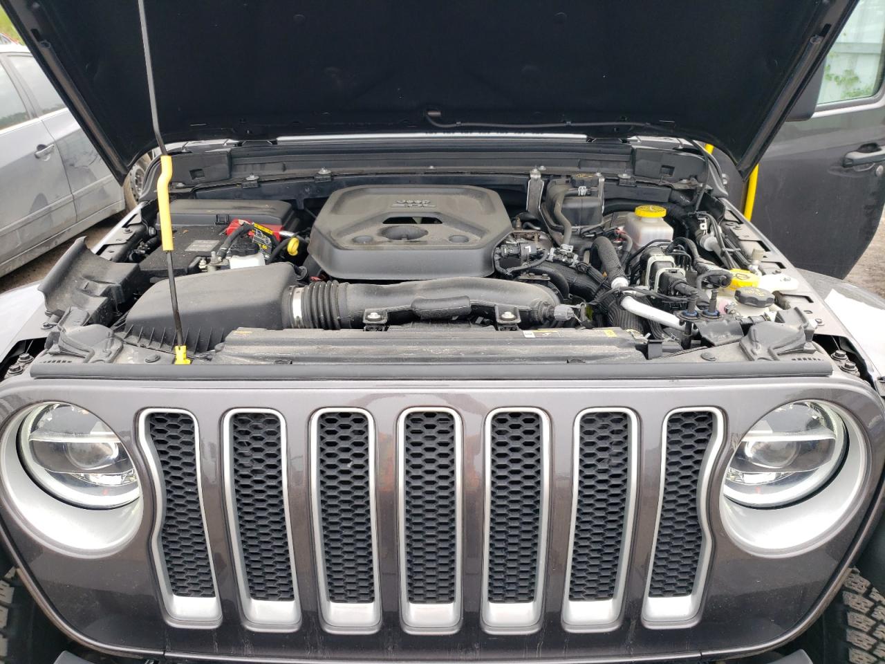 2021 Jeep Wrangler Unlimited Sahara VIN: 1C4HJXEN7MW556807 Lot: 64490133