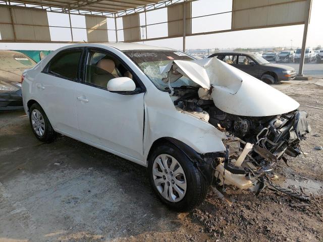 KNAFT4113D5973301 - 2013 KIA CERATO - #undefined