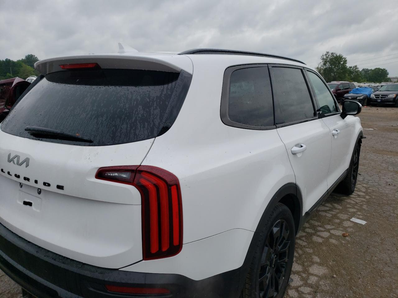 2022 Kia Telluride Sx VIN: 5XYP5DHC6NG320186 Lot: 60934333