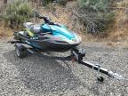2022 Kawasaki Jet Ski на продаже в Antelope, CA - All Over