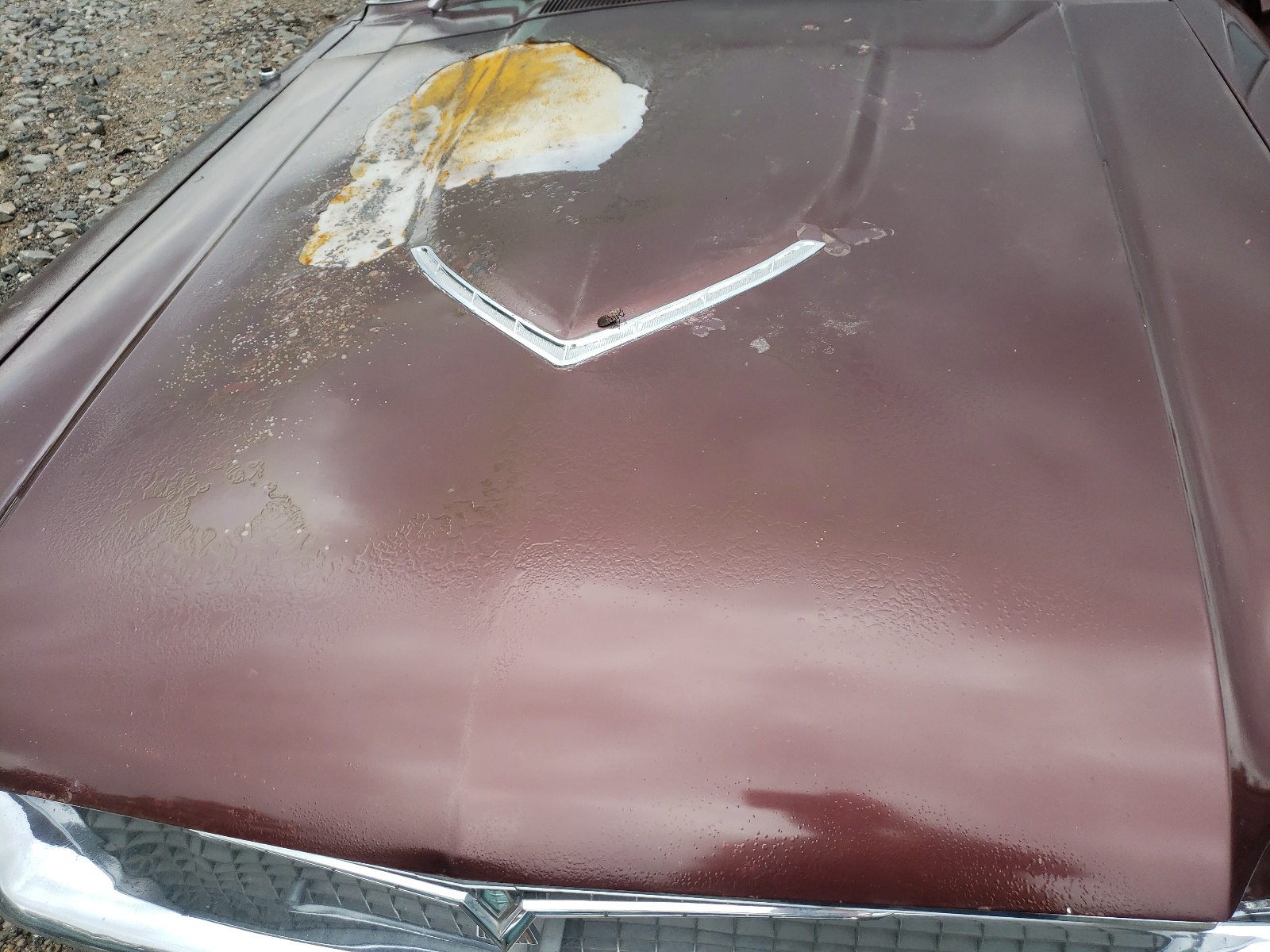 6Y87Z159025 1966 Ford Ford Thund