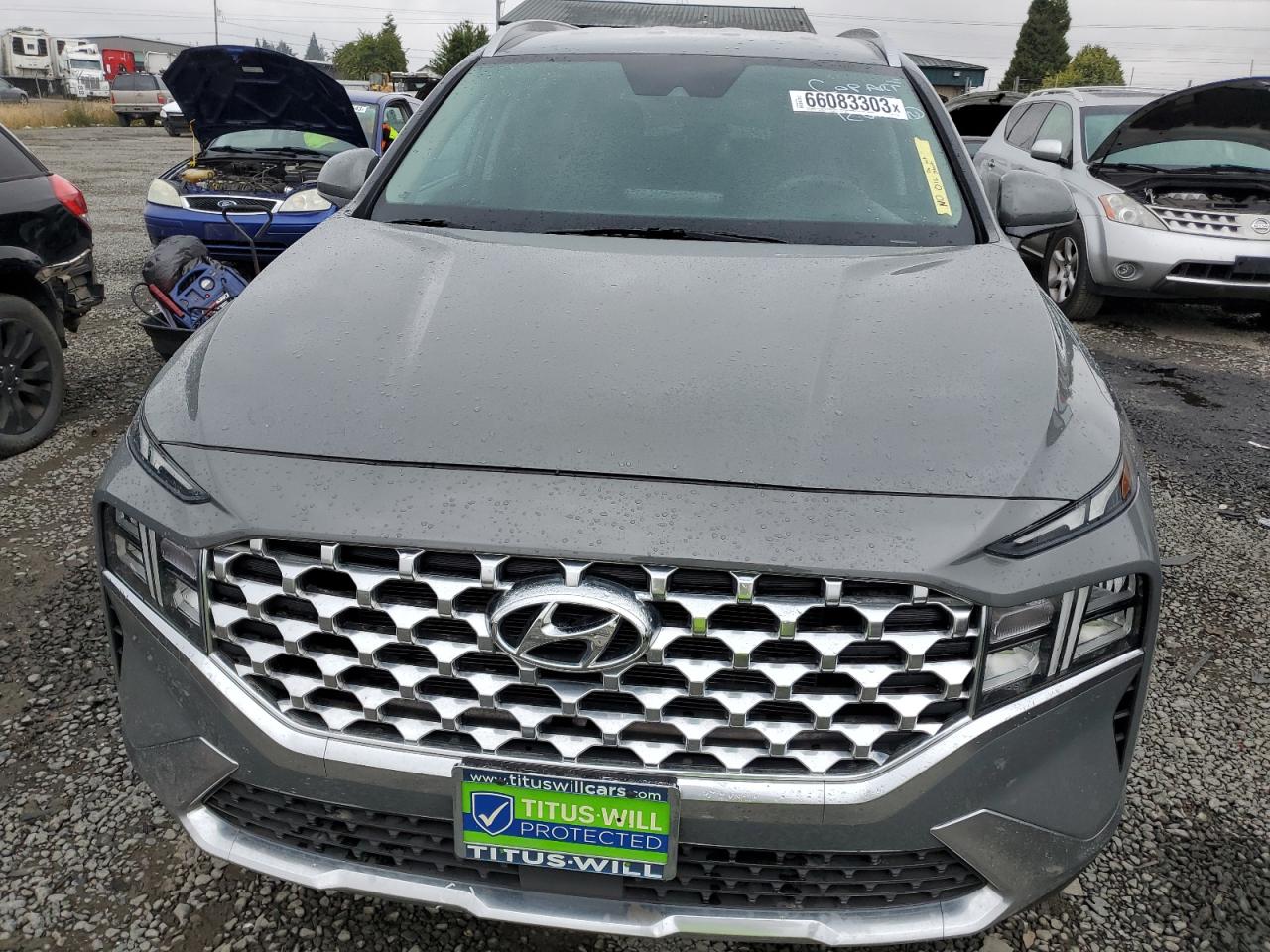 2021 Hyundai Santa Fe Sel VIN: 5NMS2DAJXMH311541 Lot: 66083303