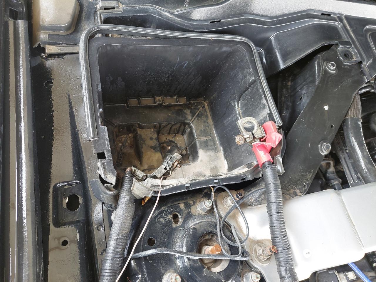 1FA6P8JZXJ5501053 - 2018 Ford Mustang - #60685503