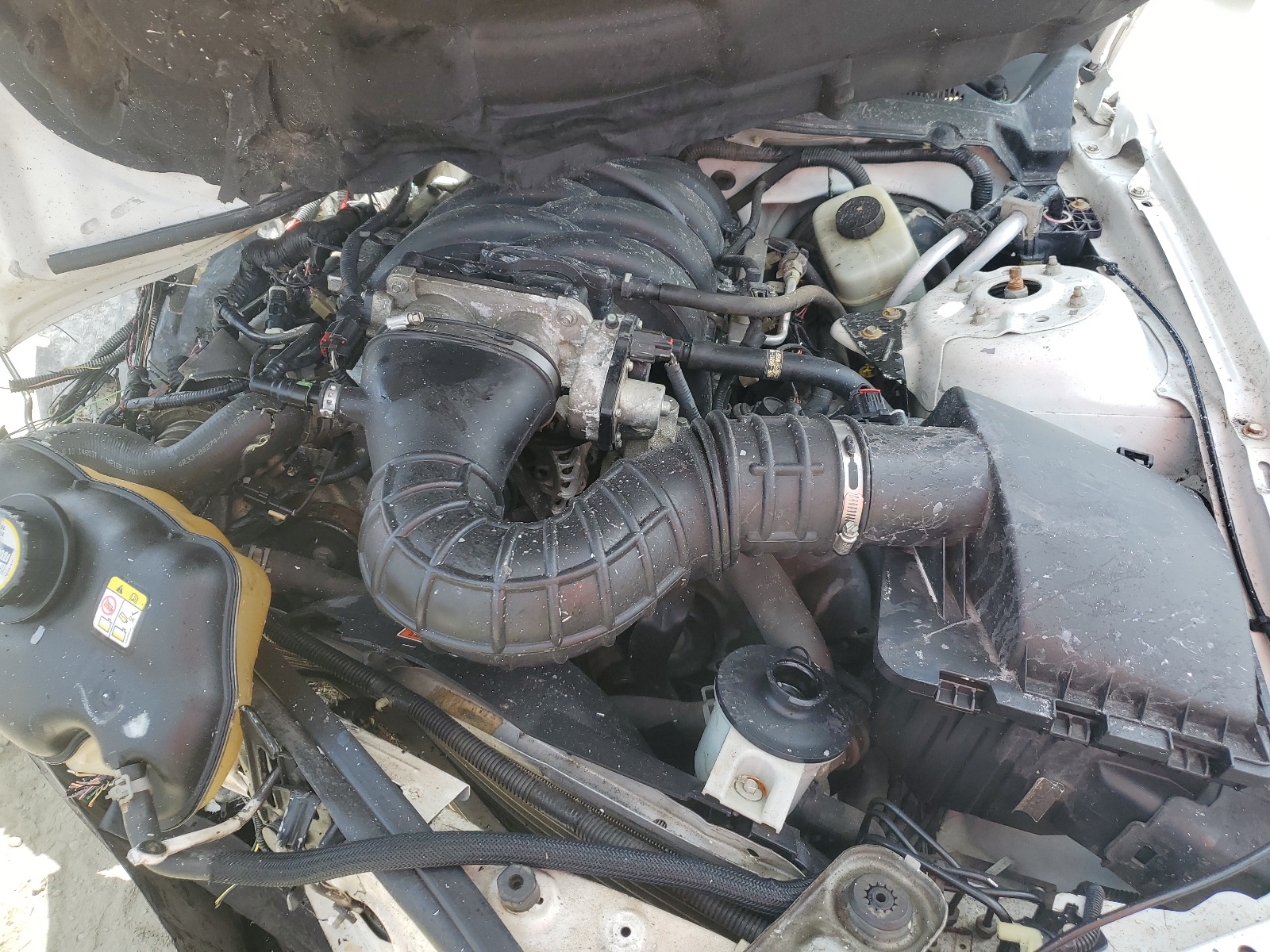 1ZVFT82H265225211 2006 Ford Mustang Gt