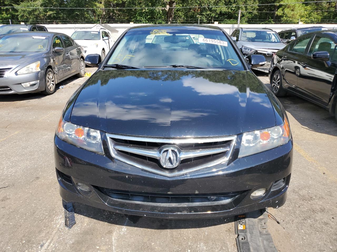 2006 Acura Tsx VIN: JH4CL96836C024742 Lot: 66195583