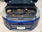 2013 Ford Escape Se للبيع في Walton، KY - Rear End