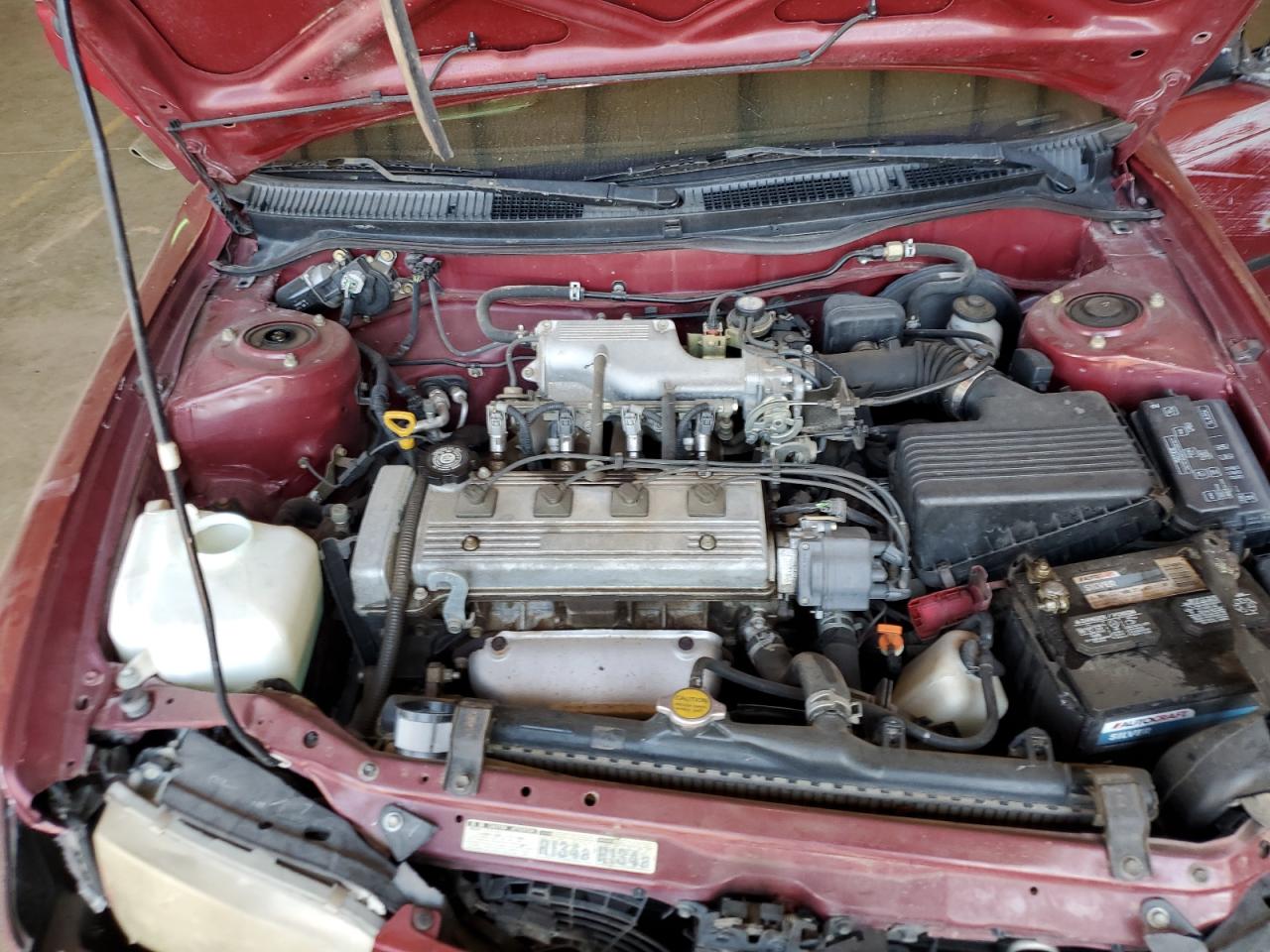 1997 Toyota Corolla Base VIN: 1NXBA02E9VZ528081 Lot: 74192914