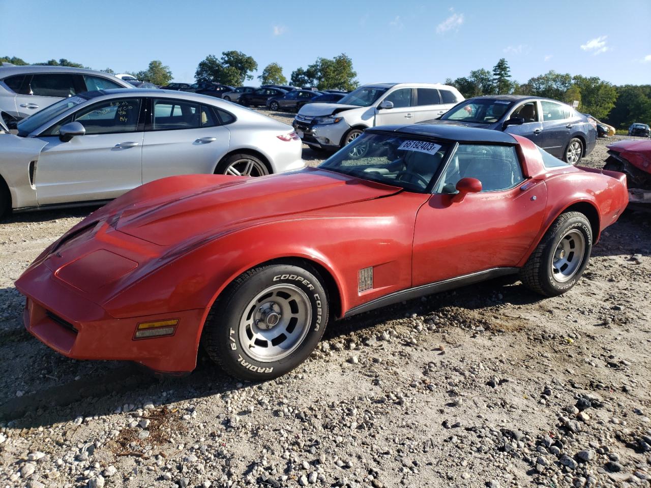 1G1AY8767BS429769 1981 Chevrolet Corvette