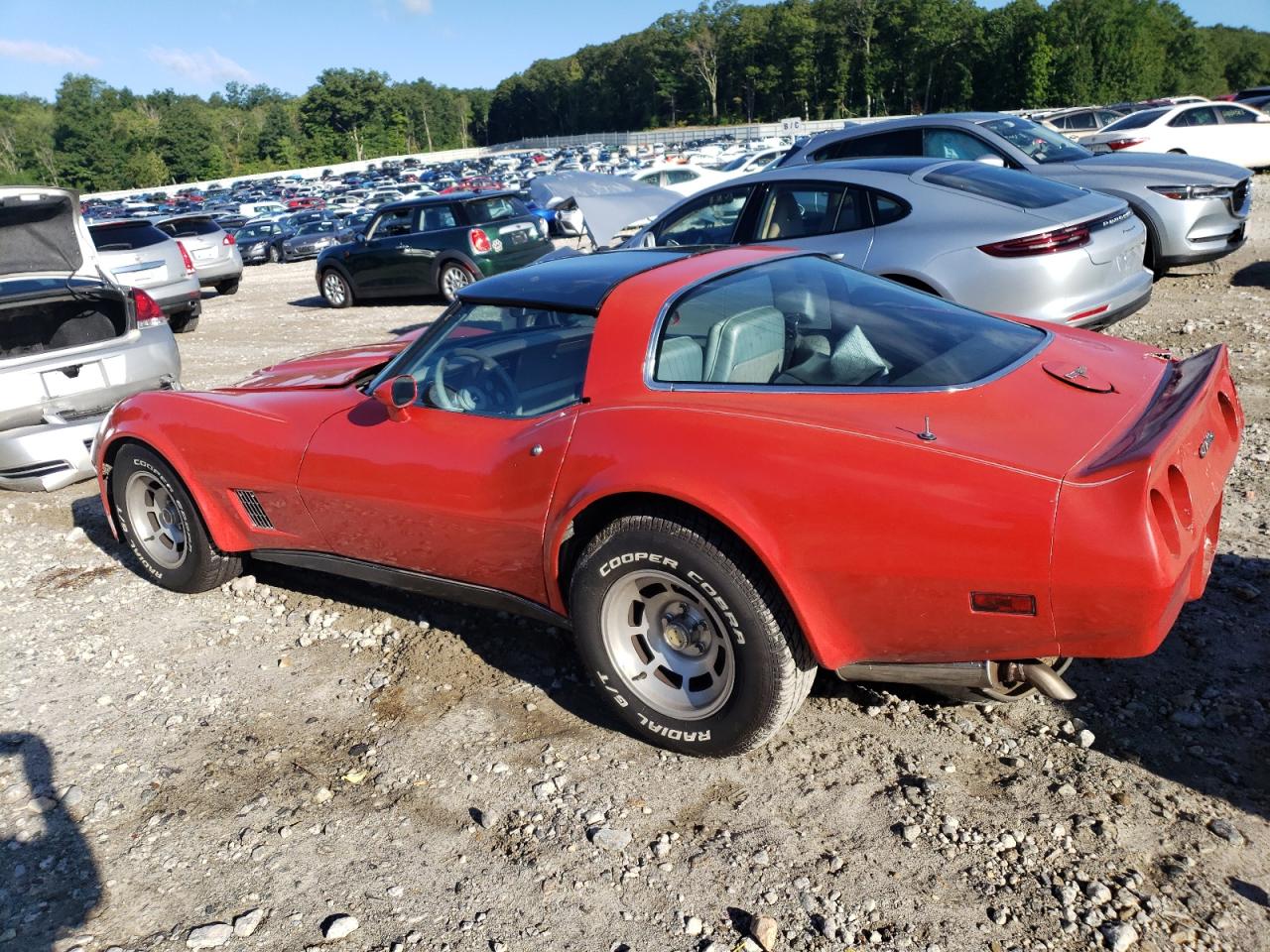 1G1AY8767BS429769 1981 Chevrolet Corvette