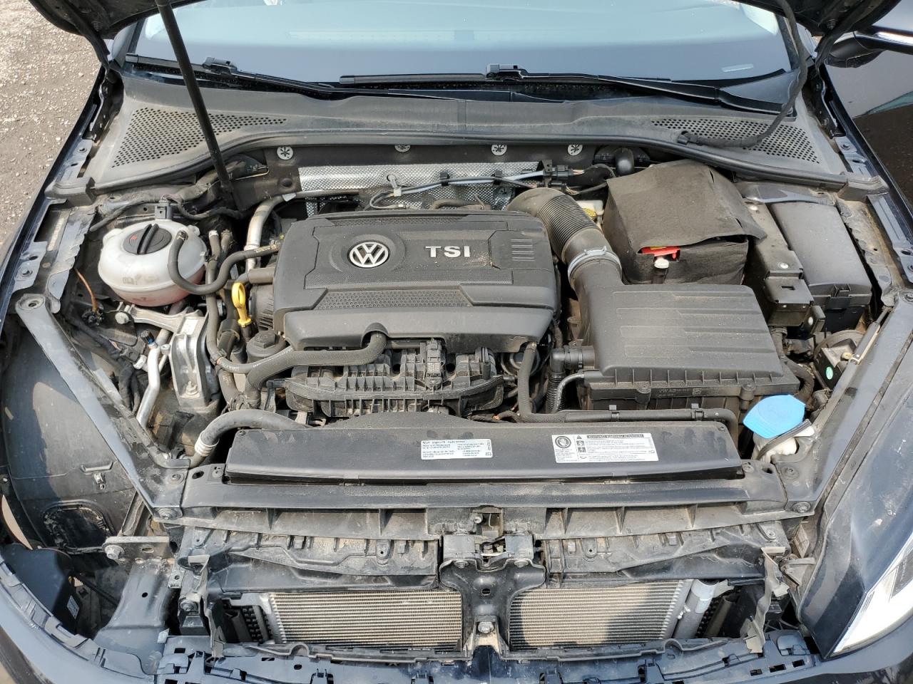 2016 Volkswagen Golf S/Se VIN: 3VW217AU1GM061569 Lot: 88031405