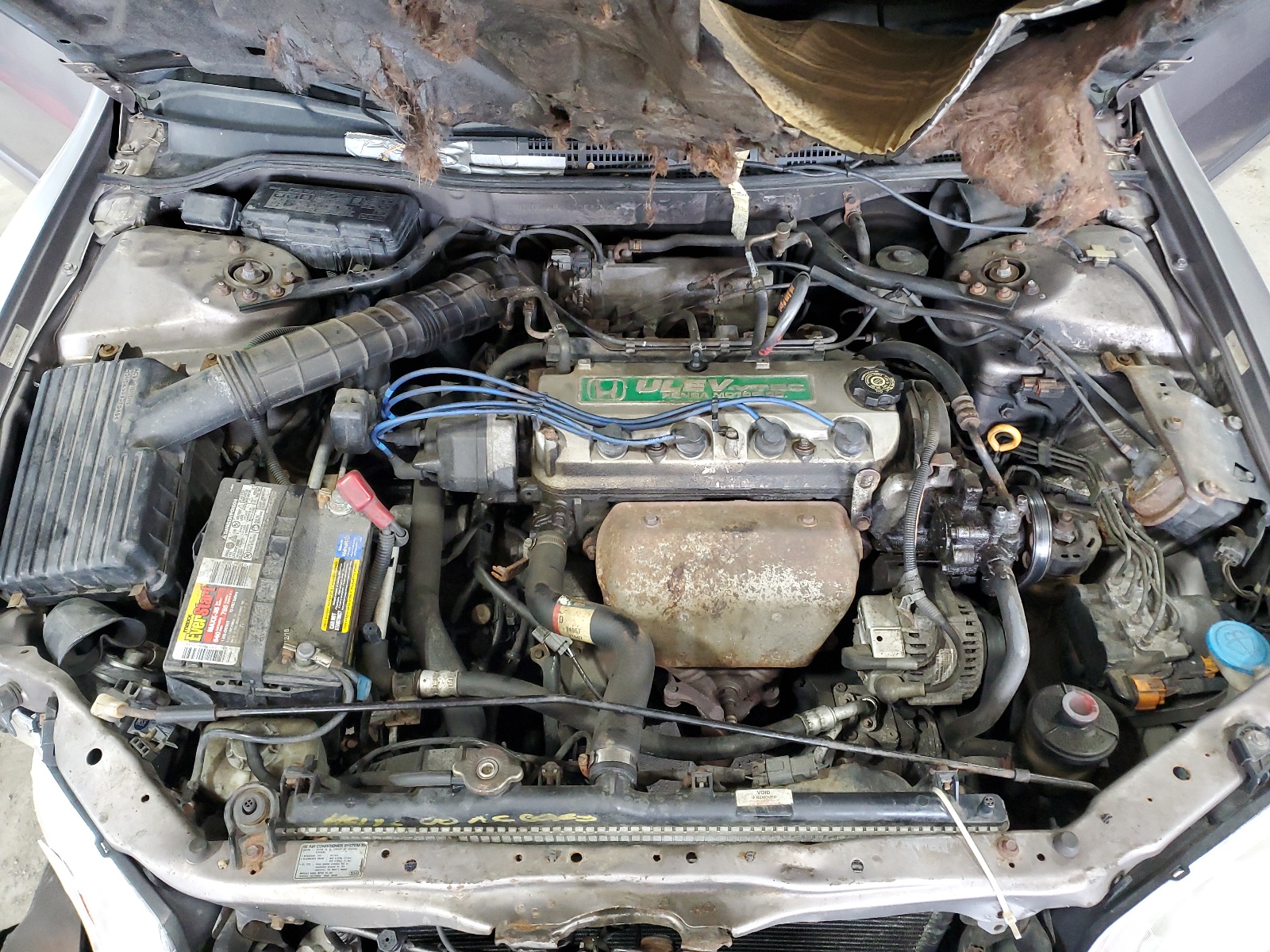 1HGCG6684YA111022 2000 Honda Accord Ex