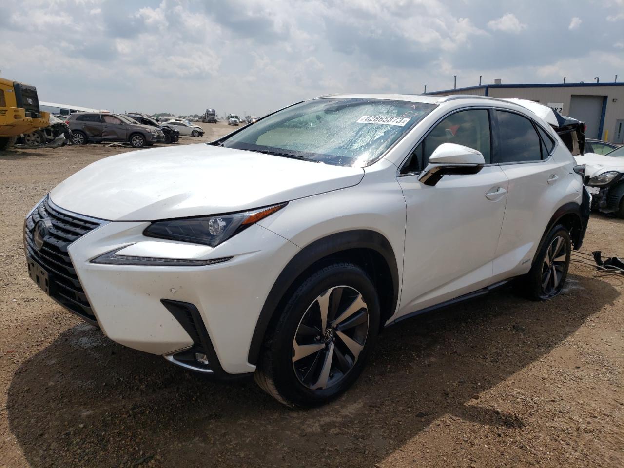 2019 Lexus Nx 300H VIN: JTJBJRBZ0K2119208 Lot: 62865873