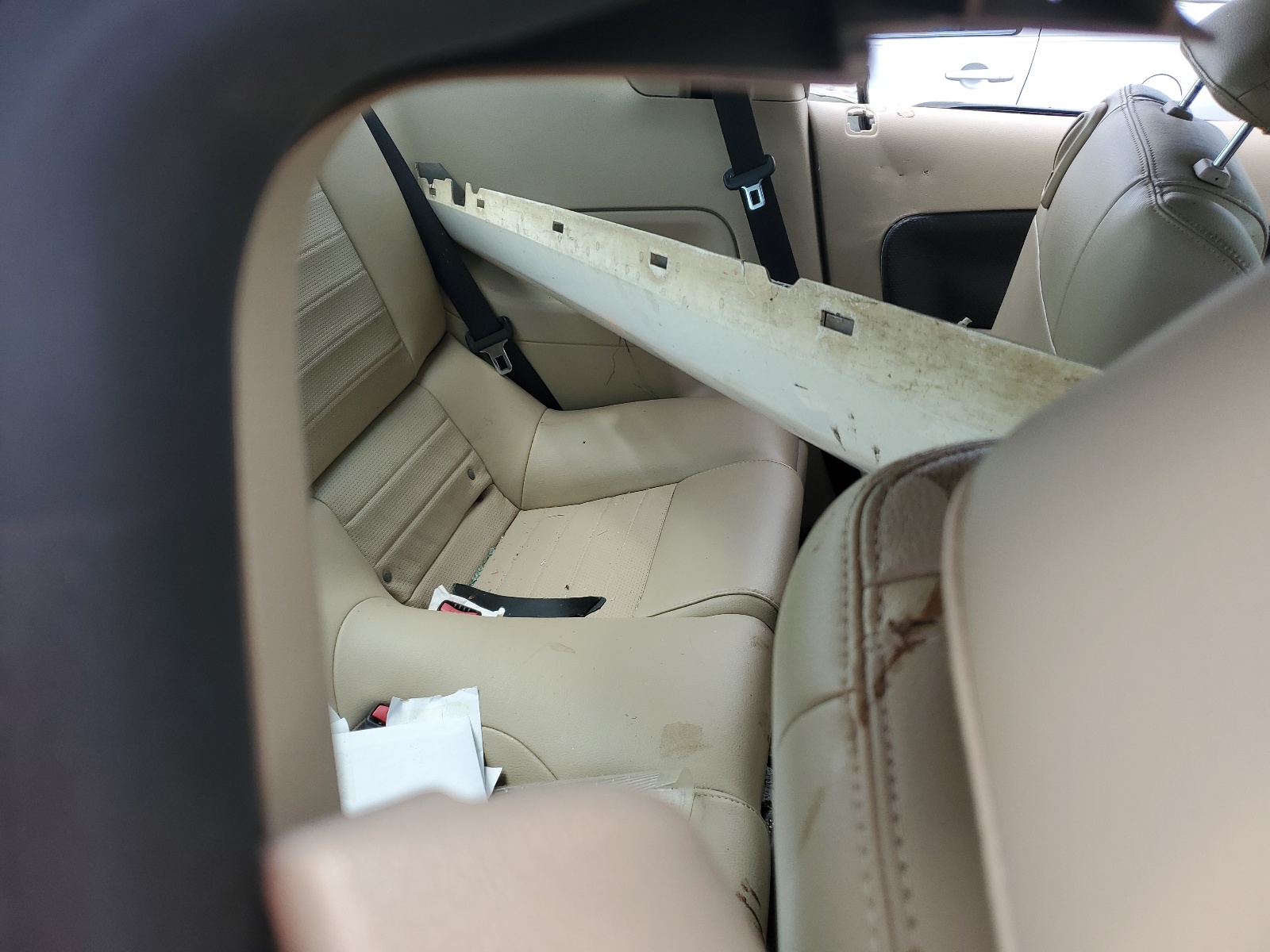 1ZVFT82H265225211 2006 Ford Mustang Gt