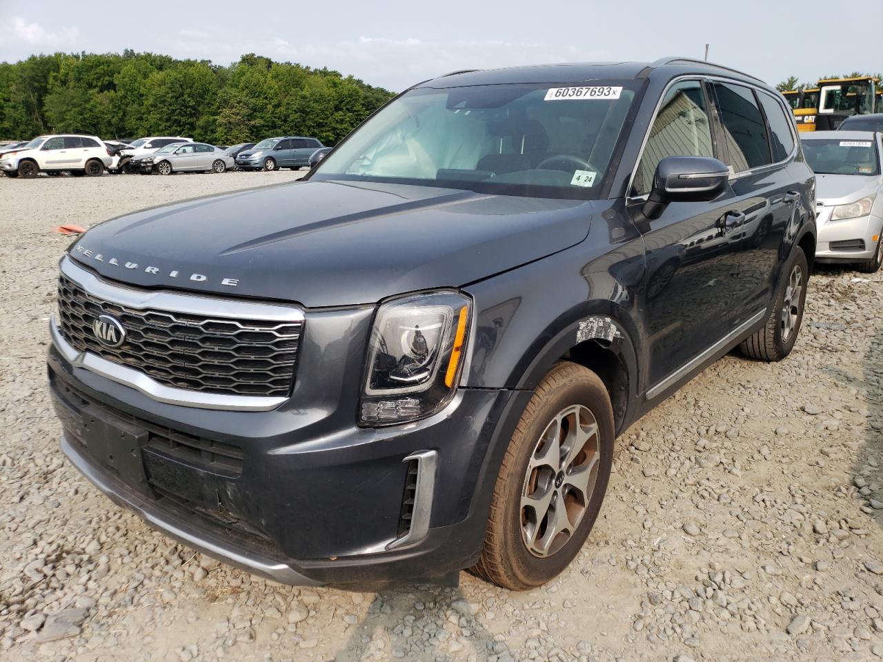 2020 Kia Telluride Ex VIN: 5XYP3DHC0LG003393 Lot: 60367693