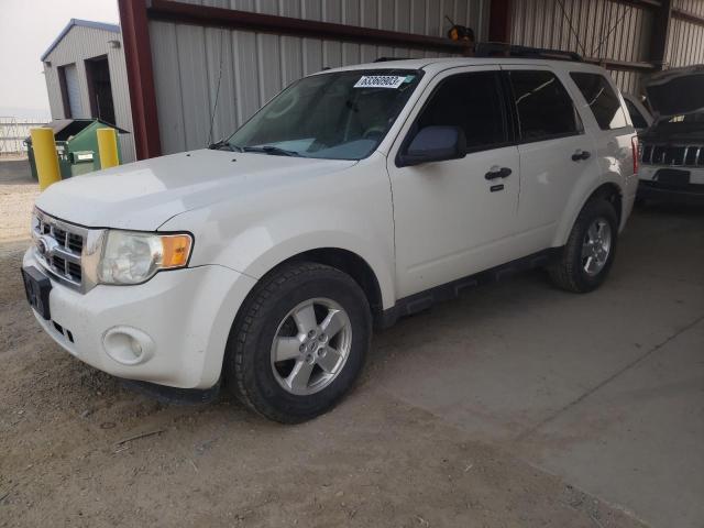 2011 Ford Escape Xlt for Sale in Helena, MT - Minor Dent/Scratches