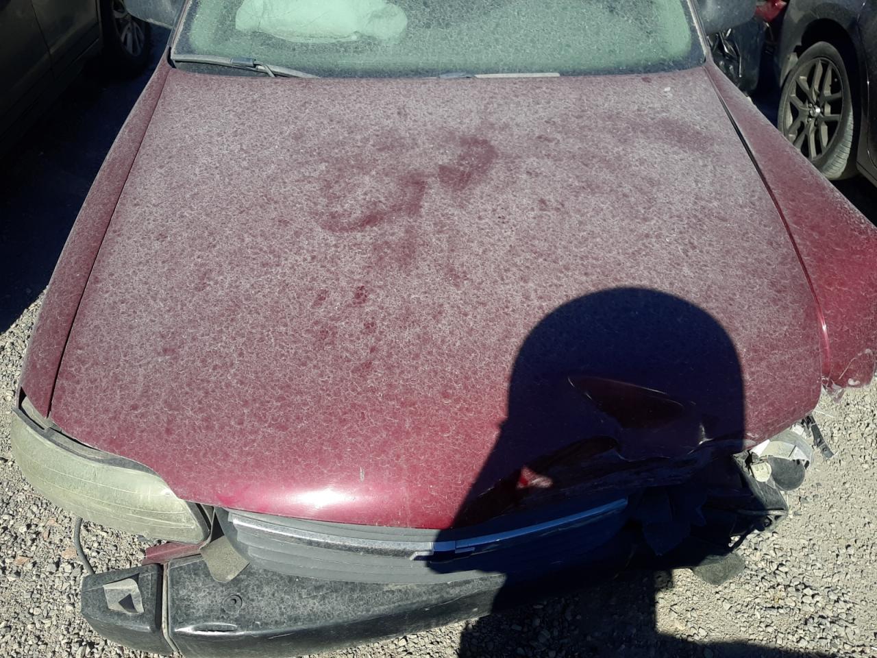 2005 Chevrolet Classic VIN: 1G1ND52F35M215289 Lot: 59357034